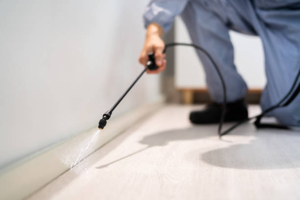 Licensed Pest Control service in Hudson, OH - Show Me Pest Control